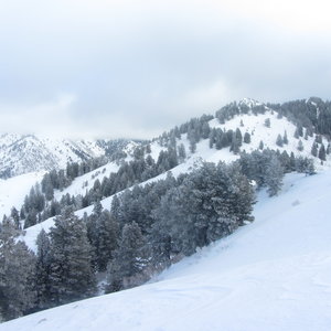 Here you can see Black's Peak and the two lines of ever-green trees that flank the apron and converge to form a "V" on the mountain.