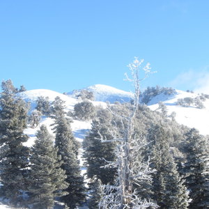 Shortly after gaining the start of Bountiful Ridge, this is looking North-East along it.  The center peak (part of the ridge) is Rectangle Peak.