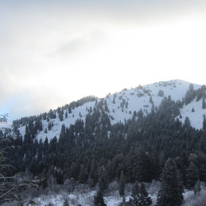 The top of the sky-line here is Rectangle Peak, and Rectangle run follows the sky-line from the peak left until it drops off into the rectangle formed by the ever-green trees.