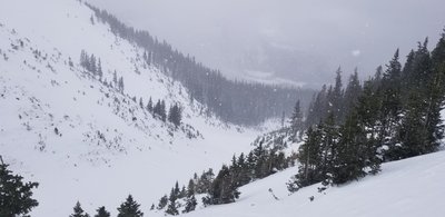 Looking back down into the Roberts Creek Drainage before entering the trees