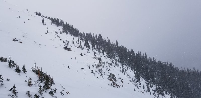 Looking back at the Roberts Creek Shoulder drop in point, we skied the double fall line near the edge of the trees