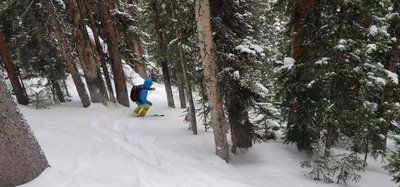 John V up high skiing the tighter trees on the Flora Creek Shoulder