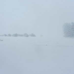 My sloppy ski tracks barely visible mid-descent of Rectangle Peak West in white-out conditions with a crappy camera. Sorry.