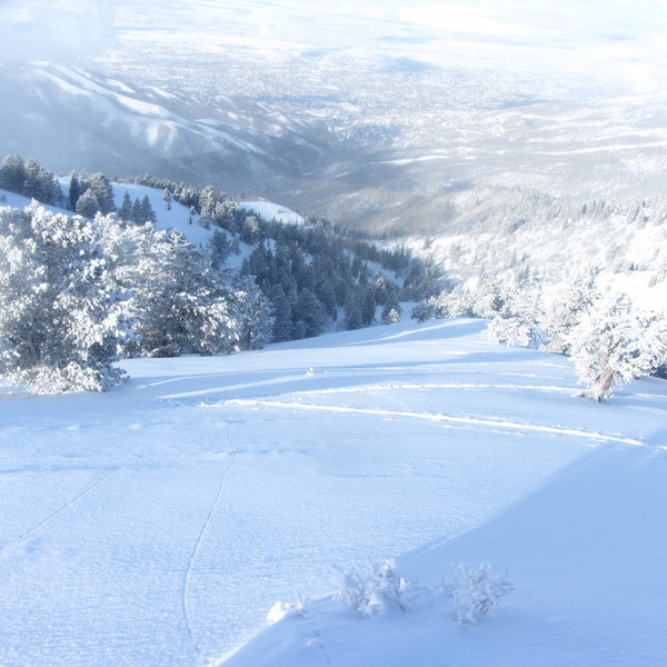 This is looking down one of the Mark's Ghost runs. You can see my skin tracks up the ridge, and there's great skiing on the way down.
