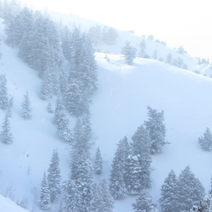 These are my ski tracks dropping off the NE side of Crescent ridge mid-way down.  Glad it didn't slide on me.