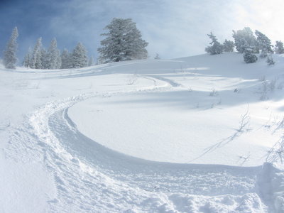Just reached the bottom of Flap Doodle bowl.