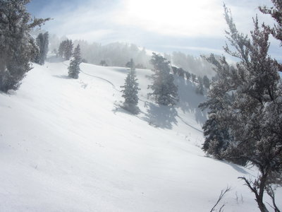 My first ski tracks into Flap Doodle bowl as seen while ascending up to do another lap on a parallel line.