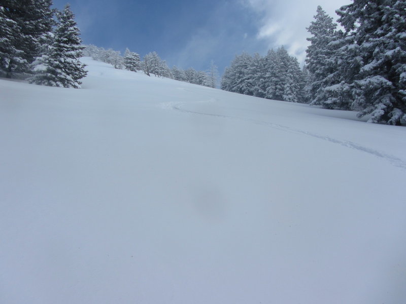 Stoked to have skied the whole pitch of snow without stopping or crashing. This is looking up Black's Peak Apron from the bottom. Also glad it didn't slide.