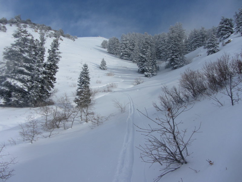 You can ski further down after reaching the bottom of the "V" of Black's Peak Apron, as shown here.