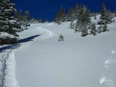 Casual turns in Trappers Glades