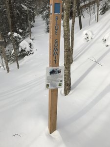 The sign near the bench where you should turn around if you don't want to hike to the summit