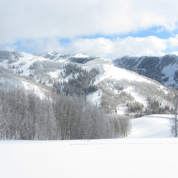 This was taken at the start of the Powder Parkin ski run looking south.  The drainage shown is the Powder Park 1 area.  More great skiing can be had left of the photo (out of view.)  Desolation Lake is over and behind the ridge front and center.