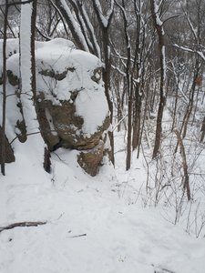 From the top. I stick just to the right of the crag. There are several lines besides this in the coulee, which is about the width of an interstate. And 100 feet of consistent 20% slope.