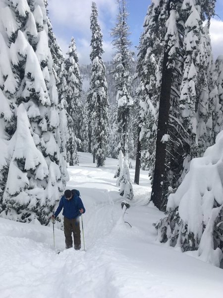 Following a snowmo trail up Kaiser Pass