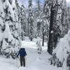 Following a snowmo trail up Kaiser Pass
