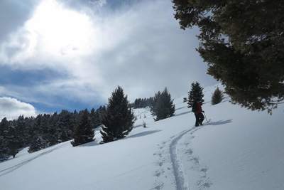 Skiing back up the second meadow.