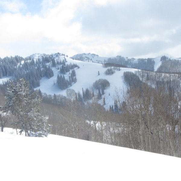 Powder Snort skis the high point on the ridge along the shoulder until dropping into the nice blank spaces front and center.