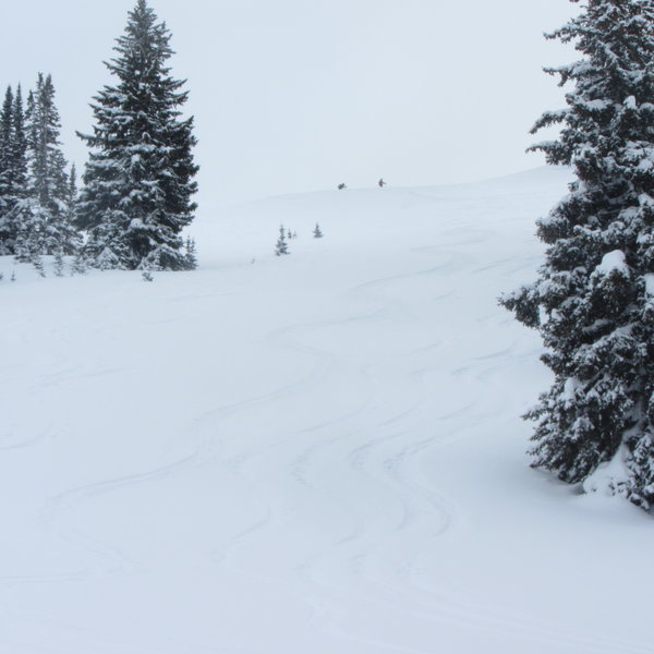 Lots of nice tracks and some sloppy tracks in the middle. Guess which ones are mine.