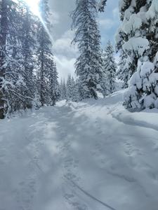 Often there will be a prominent skin track behind the snow stake.