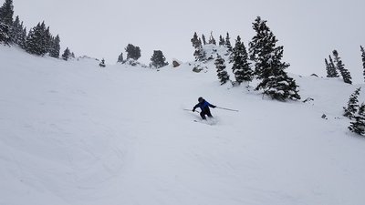 Near the top of Alf's High Rustler