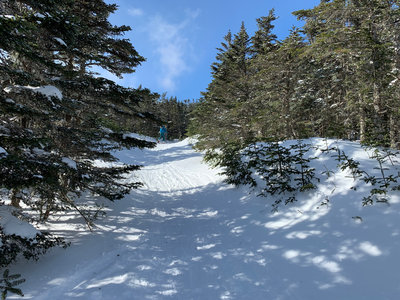 Skinning up carriage road