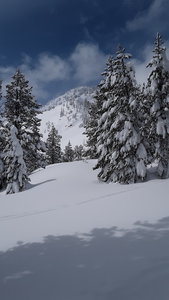 Skin track up to Incline Peak looking at Incline Peak approach side