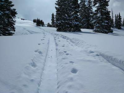 Popular Skin Track up the northwest bowl of McMillian Peak