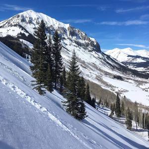 A steep section while checking out Gothic Mountain!