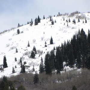 Believe it or not, my ski tracks are in this photo, but my camera sucks.