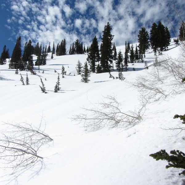 This was taken after skiing a good way down Rice bowl. Lots of great ski terrain here; it's just so hard to access.