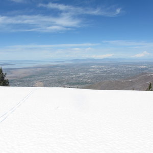 Summer down there, winter up here...except that it was hot as blazes the day this was taken.