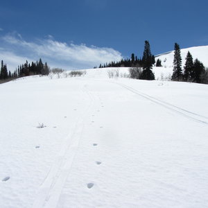 Another small stretch of skiing that can be done while making your way back down Farmington Spine.