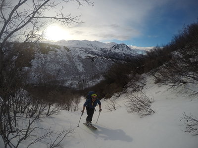 Skinning up the gut.