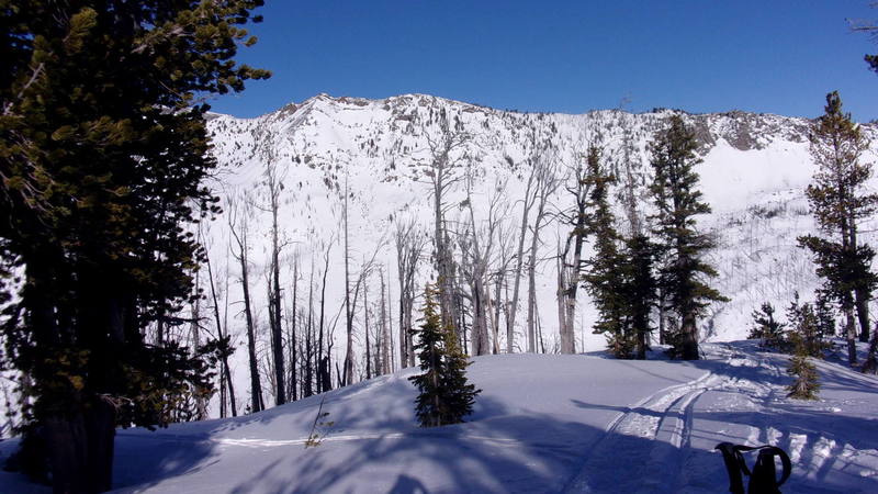 Descent start point - top of Mineral Mountain, East Ridge, looking NE to Miller Mountain on opposite side of Sheep Creek Basin