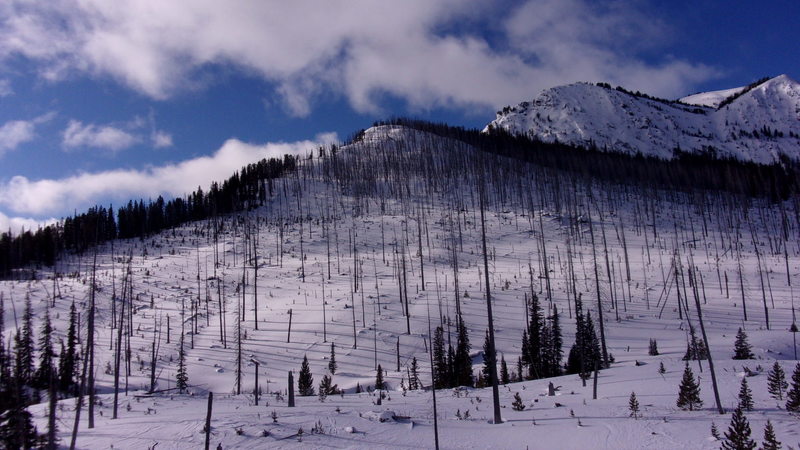View of Mineral Mountain North Side Burn, looking SW from Sheep Creek, at the bottom of the ski lines