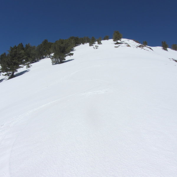 My ski tracks down the south shoulder of Session's Peak.