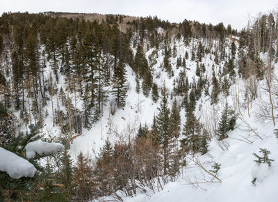 A look at the Bottom of the Y3 Chute from a switchback along the Gavilan Canyon trail, December 4th, 2019. If you attempt any of the Y Chutes, make sure to save some energy to climb out of the canyon back to the trail then ride down back to the trailhead.