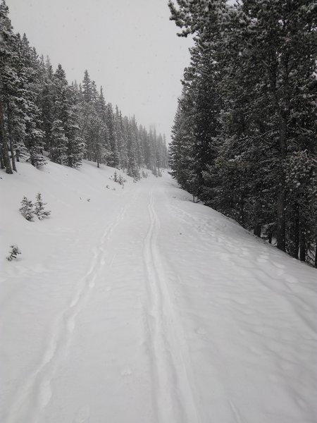 Pleasant skiing to and from the Squaw Mountain Fire Lookout