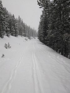 Pleasant skiing to and from the Squaw Mountain Fire Lookout