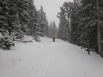 This gate is sometimes closed... Just wiggle around either side or duck underneath.
