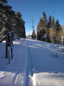 This route next to the boundary of the park usually holds better snow than the wind scoured meadow closer to the parking lot.