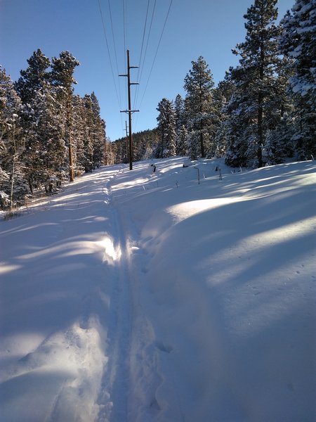 This route avoids the shallow icy cover on the main trail system.