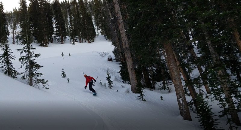 Leaving the open section heading into the Flora creek drainage.