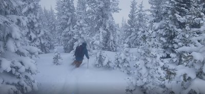 John V sking tighter trees on 6.1, but look at the powder in the trees!
