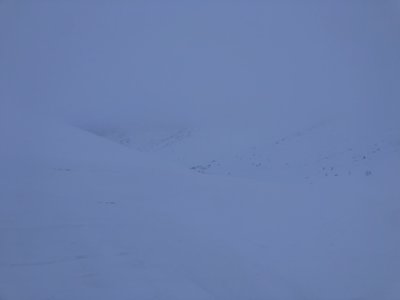 Early morning skin looking down the gulley
