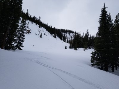 Just before entering into the trees, approximately 1/2 way from the drop in point to the highway- the skiing is fairly easy.