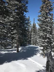 Skinning up the old ski area