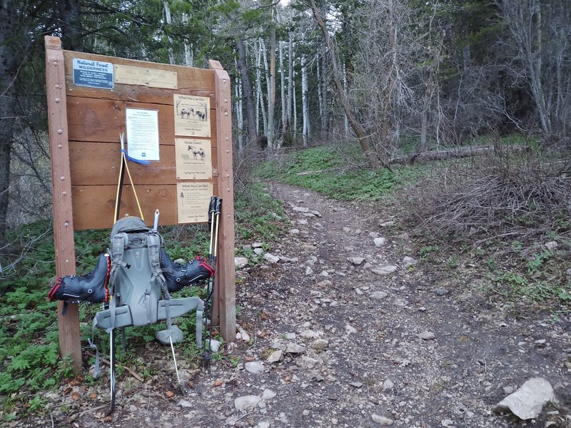 My shiz at the trailhead, getting ready to boot up the trail.  Didn't take too long to find skinnable snow.