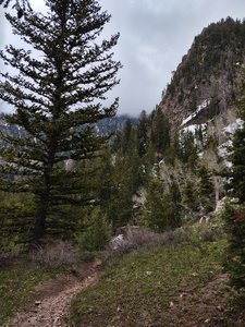 This path was actually the wrong way to go as I was trying to make my way back to the car.