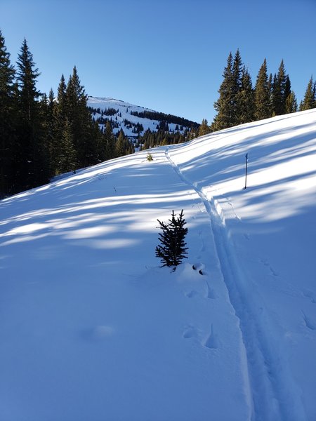 Once the pickets are buried it becomes more difficult to find the trail; however, Boreas Pass road is parallel to you at this point and just uphill... just cut a gentle ascending traverse until you gain the road.